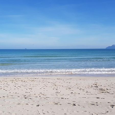 Ideal Property Mallorca - Marvi Alcudia  Bagian luar foto