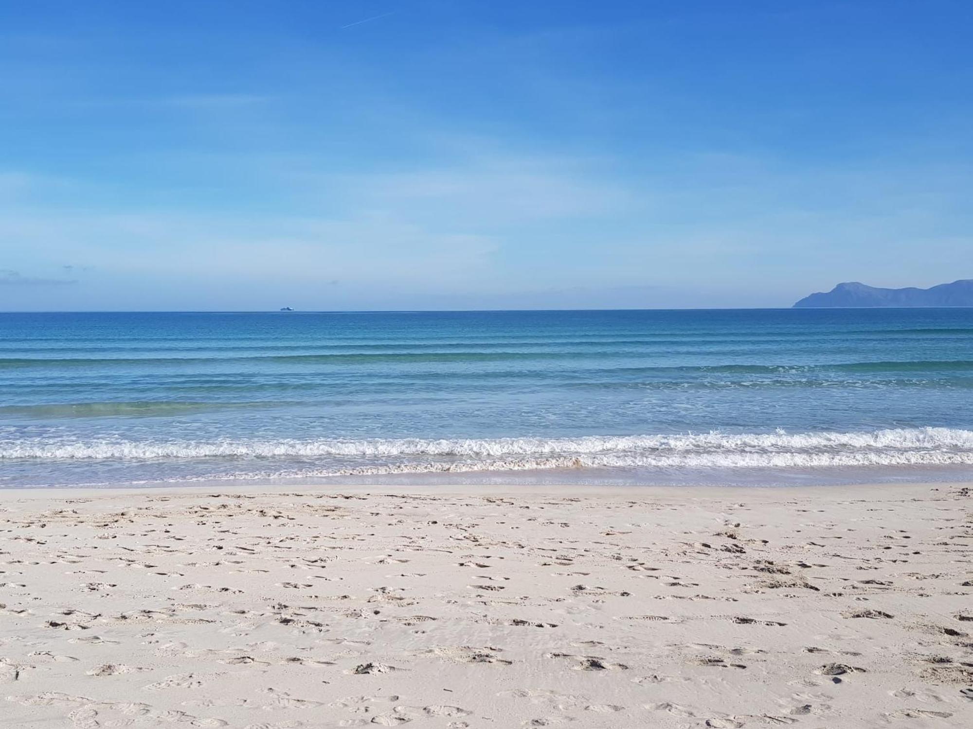Ideal Property Mallorca - Marvi Alcudia  Bagian luar foto